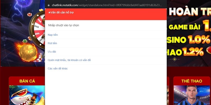 Giới thiệu về liên hệ hỗ trợ tại 333666